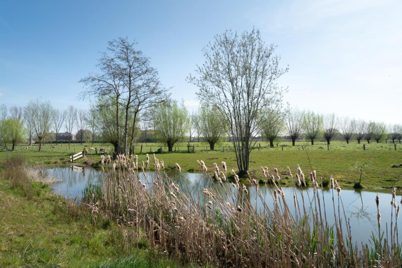 Hoeve De Mertel Biezenmortel Ngoại thất bức ảnh